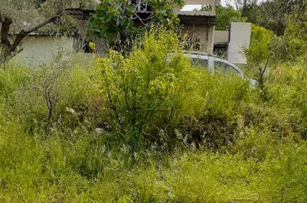 Armutlu'da 3900 m² Bahçe