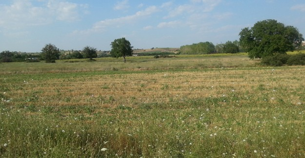 İlan Fotoğraf